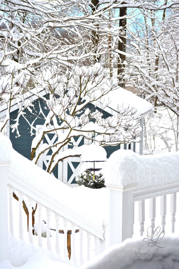 Wonderful Winter Day