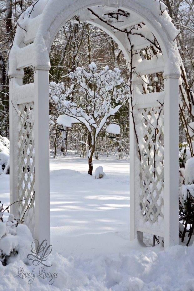 Wonderful Winter Day